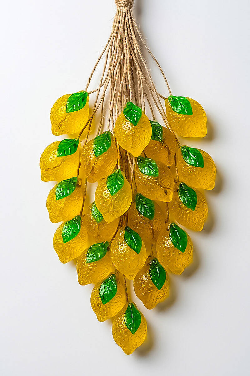 Mini Limon Silikon Kalıbı 6 Bölmeli PANO206 - 1